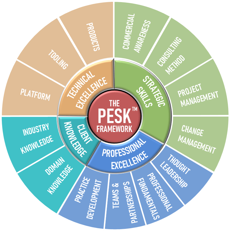 The Professional Edge Skills & Knowledge Framework